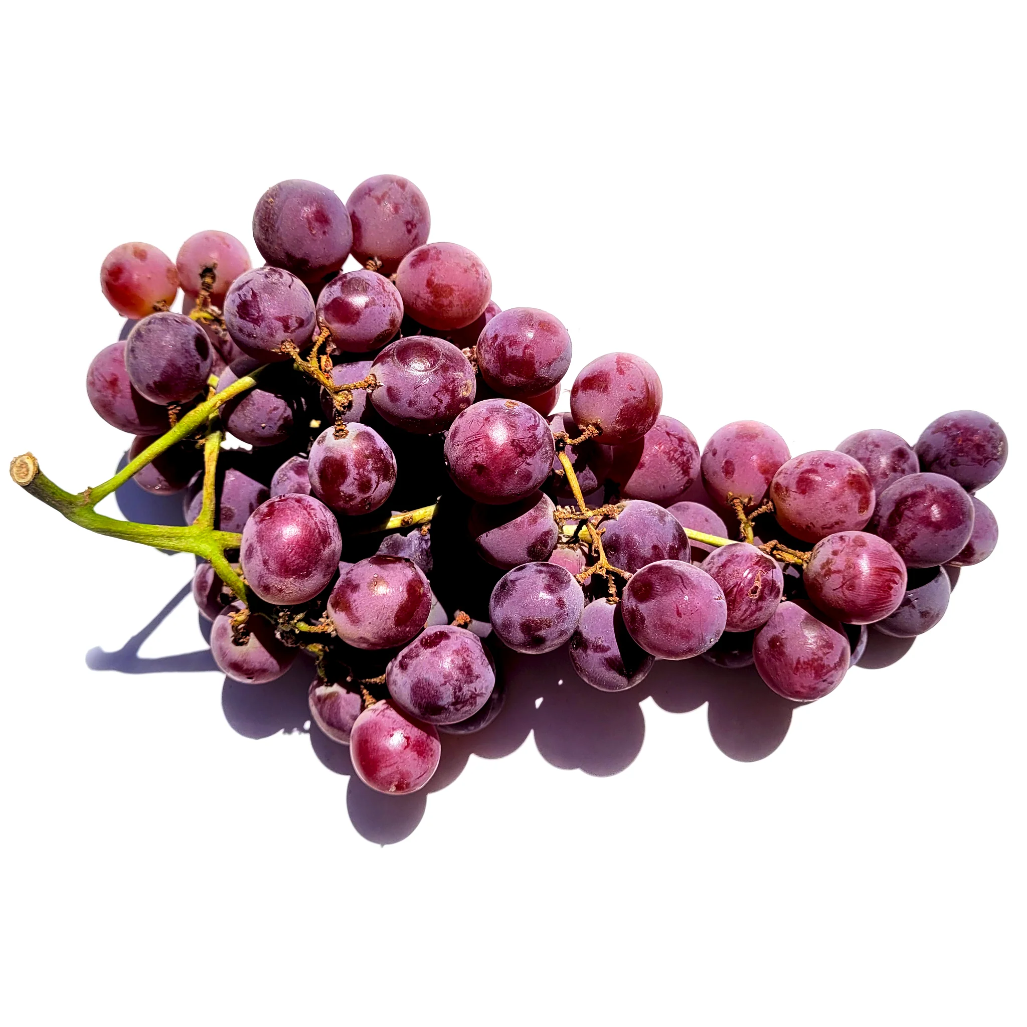 Fresh Specialty Produce Delivered Fast